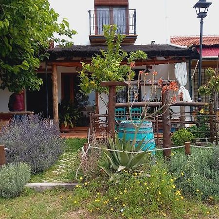 埃尔罗西奥 Jardines Del Acebron旅馆 外观 照片