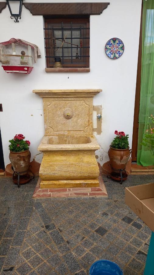 埃尔罗西奥 Jardines Del Acebron旅馆 外观 照片