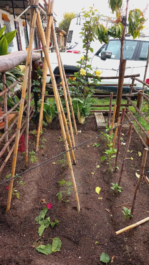 埃尔罗西奥 Jardines Del Acebron旅馆 外观 照片